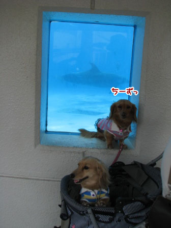 100_20130527230211.jpg