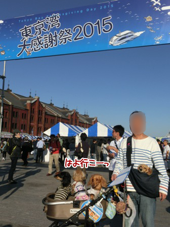 20151026016.jpg