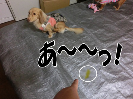 20150930004.jpg