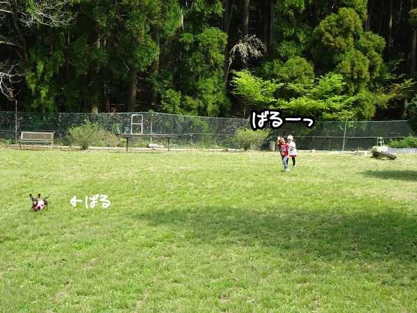 m-20190421BBQ-3
