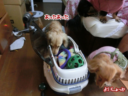 201606085.jpg