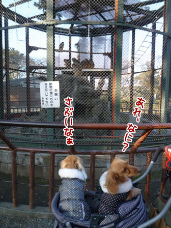 070_20120130222627.jpg