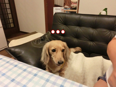 006_20120825221837.jpg