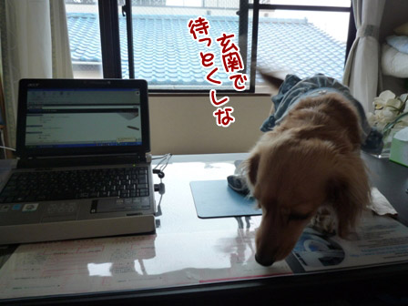 005_20120627231404.jpg