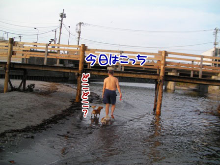 080_20110802003935.jpg