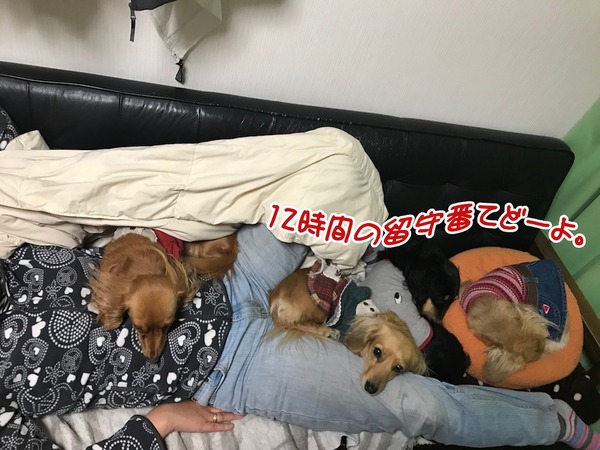 20180321meruloco-4