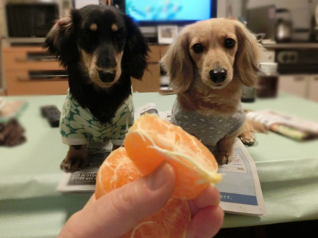 009_20140224232343126.jpg