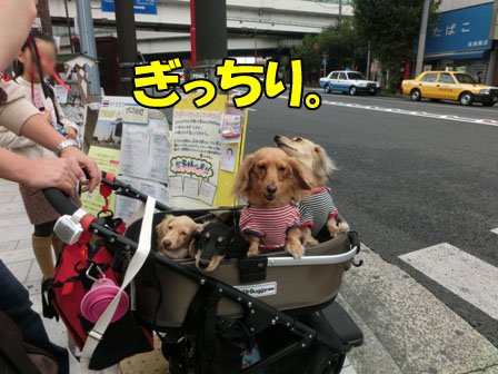 009_20131021231401dae.jpg