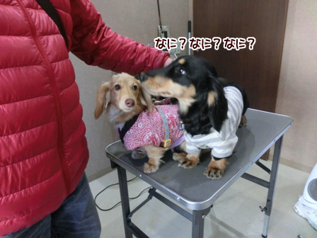 004_20140127213426b74.jpg