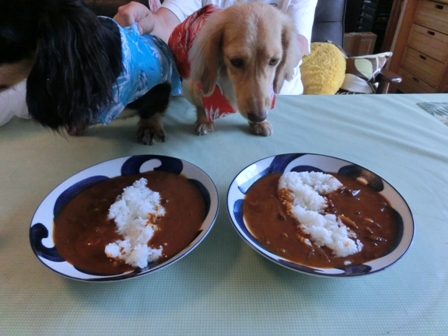 028_20140624232710cfc.jpg