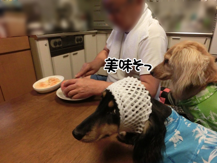 013_2015072621583357d.jpg