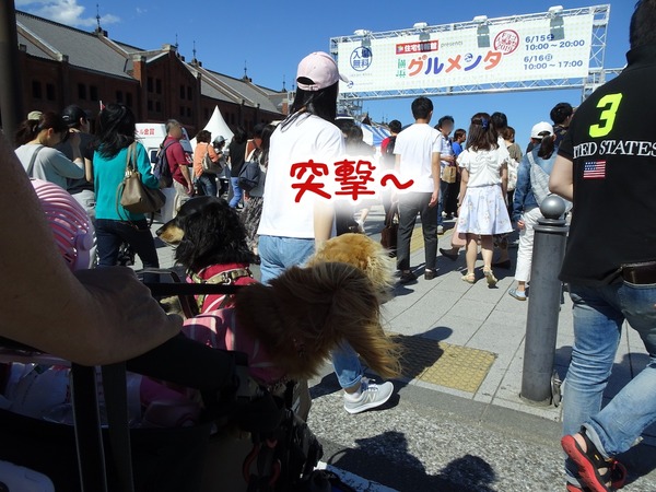 m-20190617-9