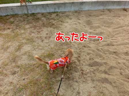 20151010031.jpg