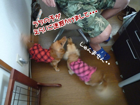 004_20120727235613.jpg