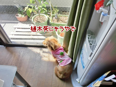 004_20120824235223.jpg