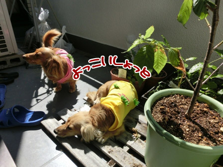014_20120824235222.jpg
