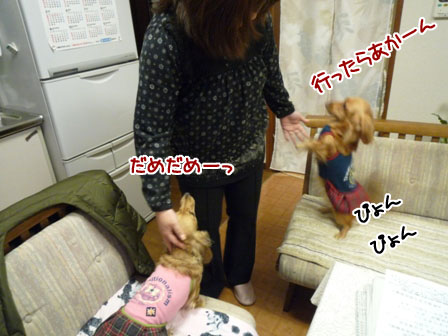 010_20111129210026.jpg