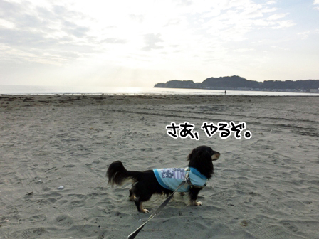 201602241.jpg