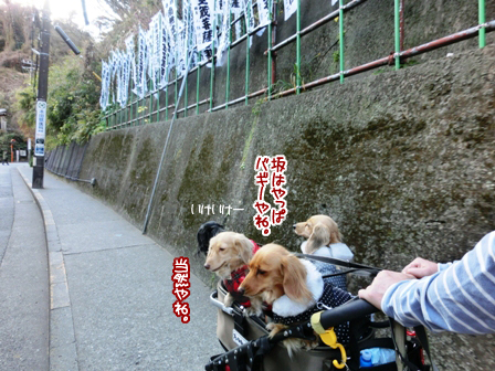201601122.jpg