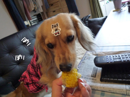 034_20120721224800.jpg
