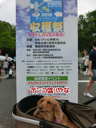2016052907.jpg