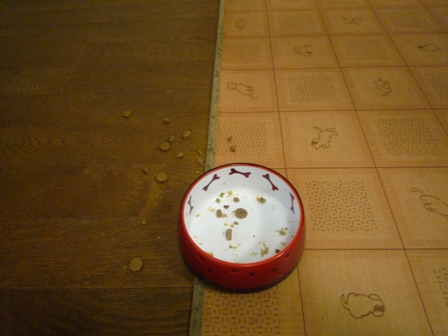 017_20110425225109.jpg
