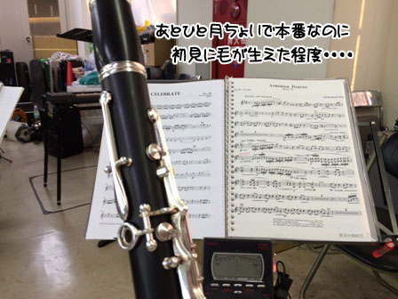 IMG_2829_20140112004711779.jpg