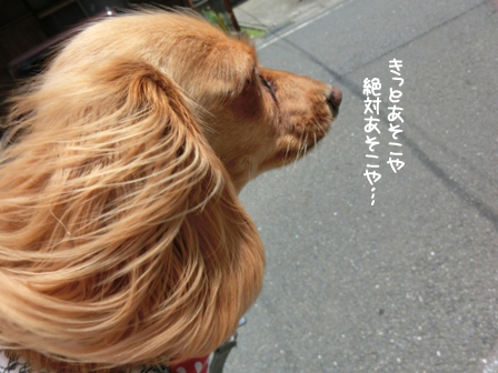 201606043.jpg