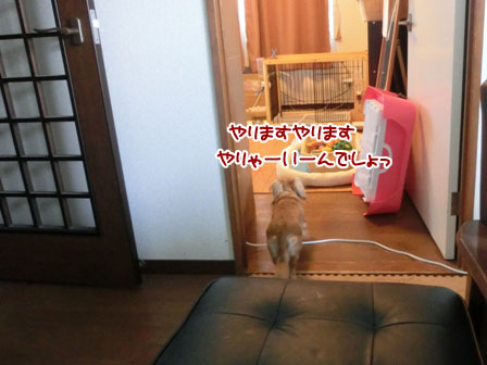 004_20130629234840.jpg
