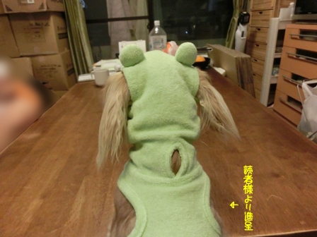 201606101.jpg