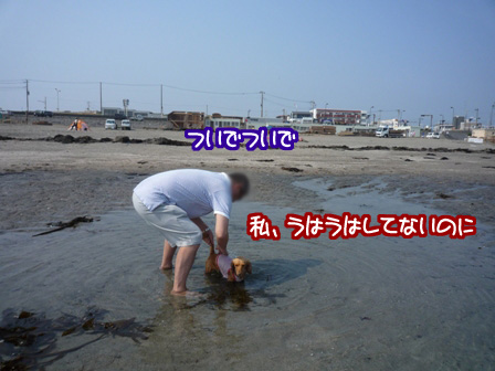 127.jpg
