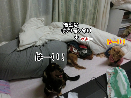007_20140125234746106.jpg