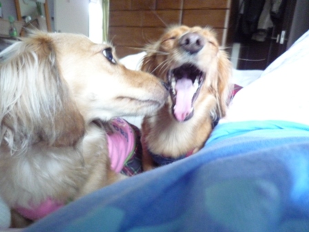002_20110627214755.jpg
