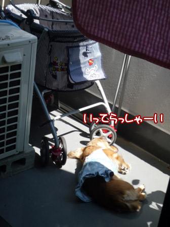 023_20120626225241.jpg