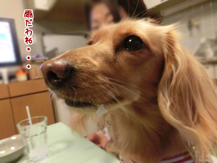 020_201410220040382cc.jpg