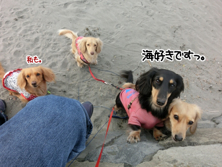 201602072.jpg