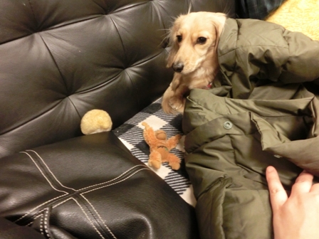 003_20130127002842.jpg