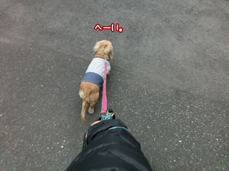014_20131209221335ce0.jpg