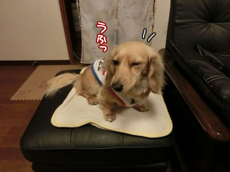 003_20130423000127.jpg