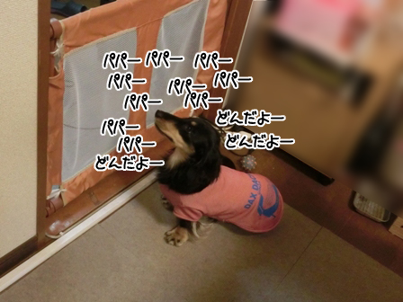 2016020515.jpg