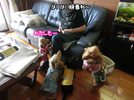 008_201309290101499fa.jpg