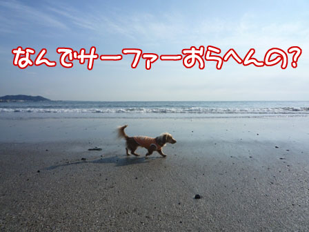 008_20110129214355.jpg
