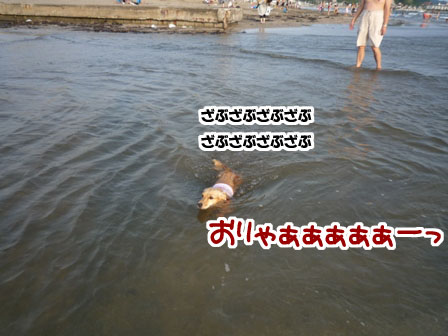 012_20110724225651.jpg