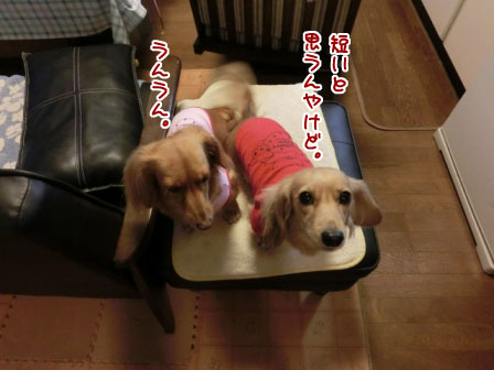 002_20121031005205.jpg