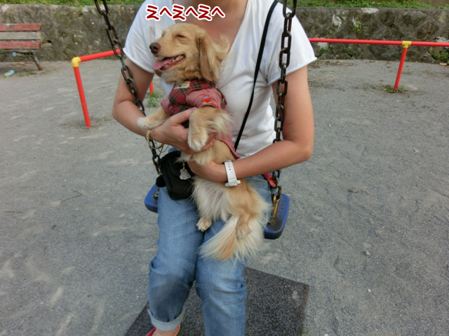 初めてのブランコで大騒ぎ メルロコ一家の横須賀ストーリー Powered By ライブドアブログ