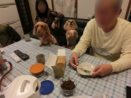 005_20130406023932.jpg