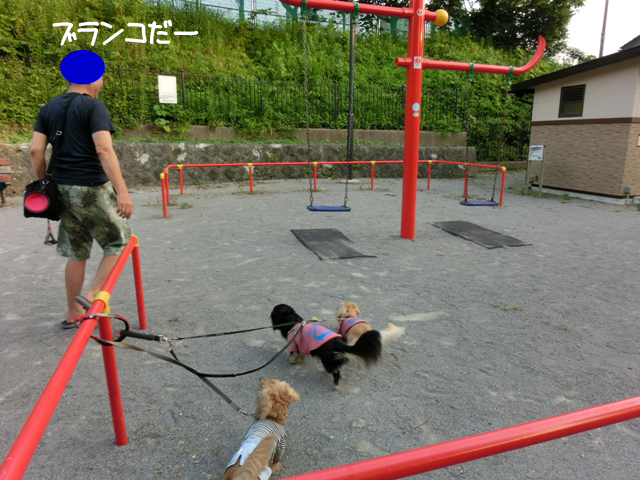 初めてのブランコで大騒ぎ メルロコ一家の横須賀ストーリー Powered By ライブドアブログ