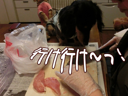 006_2015012900241594c.jpg