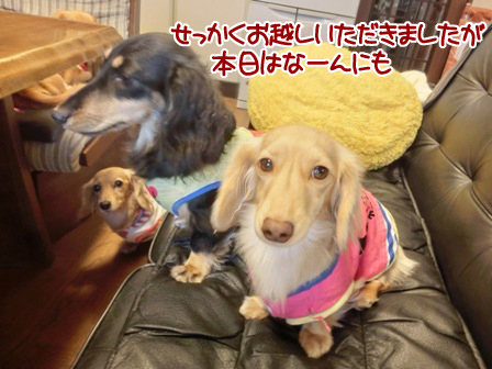 20151030001.jpg