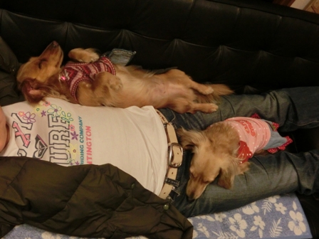 021_20130408225603.jpg